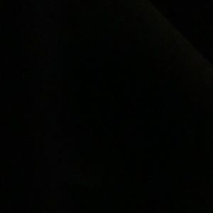 Meet your Posher, Bobbie